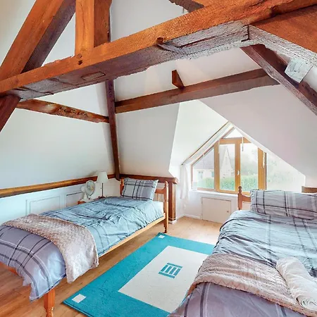 Pet Friendly In With Kitchen